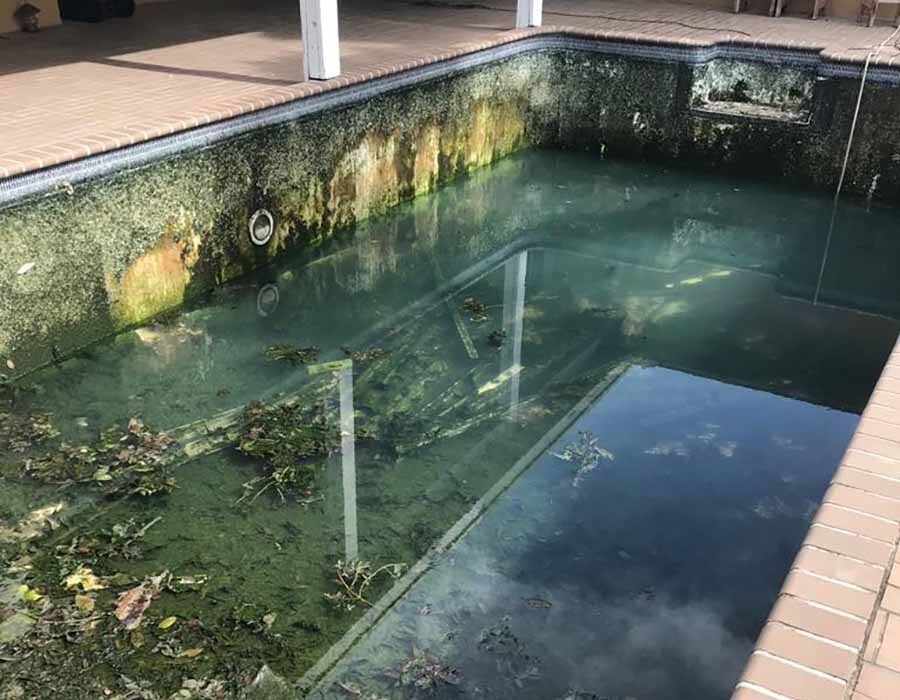 pool renovation