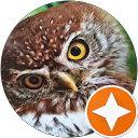 Stacy K. profile picture